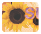 Version 6: Summer Lovin' Version 6: Summer Lovin'