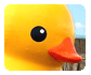 Splash! Giant Rubber Ducky!