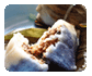June 6, 2008: 6 Kinds of Rice Dumplings You Haven't Seen