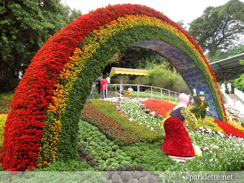 Pics Of Rainbow Flowers. Rainbow made with flowers