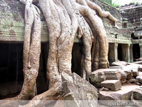 Ta Prohm, Cambodia