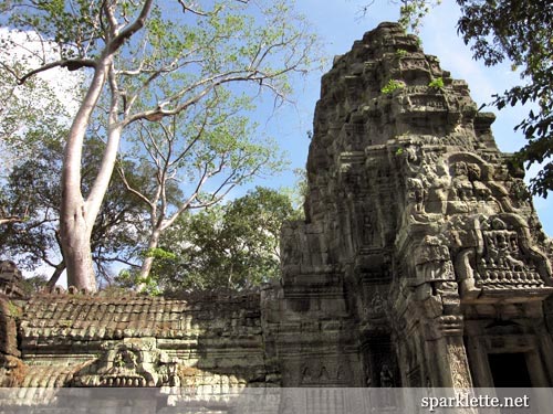 Ta Prohm, Cambodia