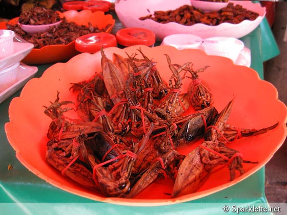 Fried insects sold by street vendor in Chiang Mai, Thailand