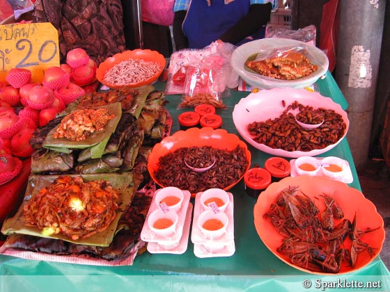 Fried insects sold by street vendor in Chiang Mai, Thailand