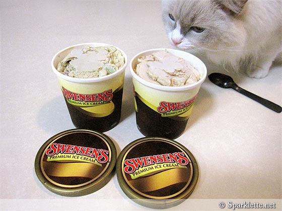 Snowy the Ragdoll cat sniffing at the Swensen's ice cream