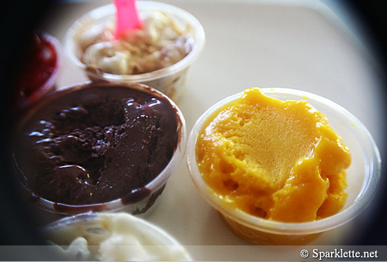 Dark chocolate and Alphonso mango sorbet gelato