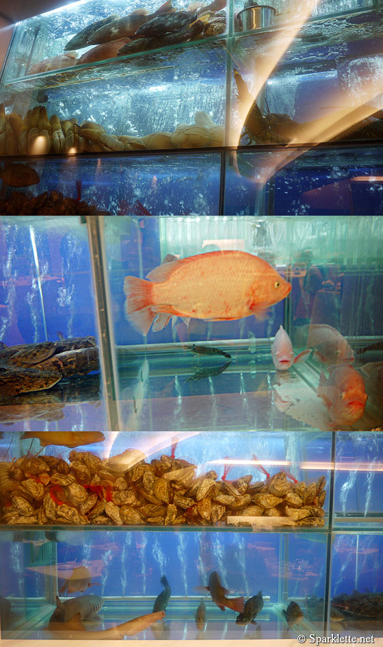Seafood Paradise restaurant at Changi Airport, Singapore