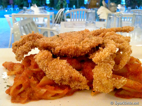 Penne pasta with soft shell crab in zesty tomato sauce