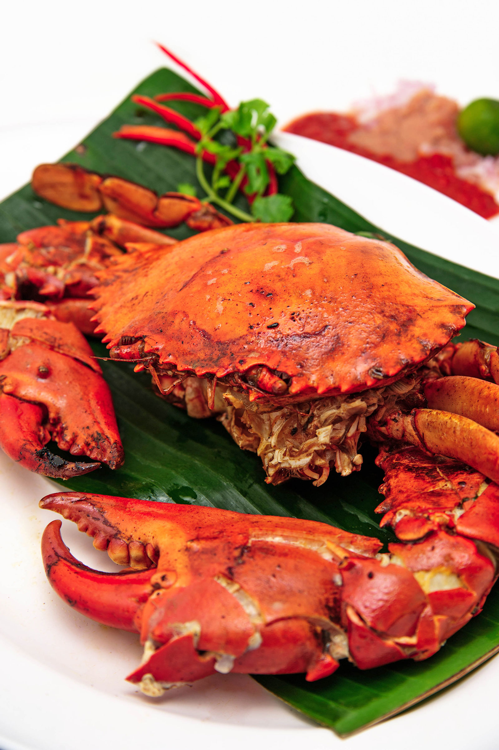 Pepper crab