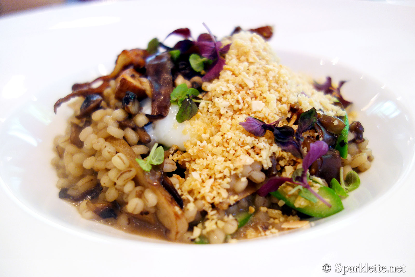 Pearl barley, French and local organic mushroom risotto, asparagus, 62° hen's egg and black winter truffle