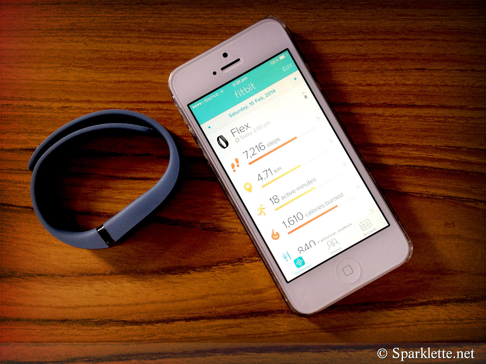 Fitbit Flex