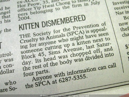 Kitten Dismembered