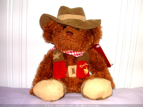 Buckaroo teddy bear