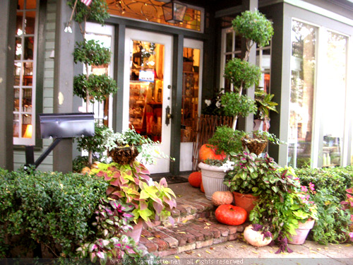 Flower shop entrance