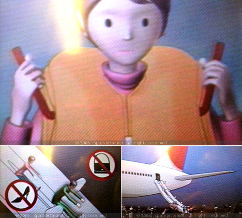 Flight safety video