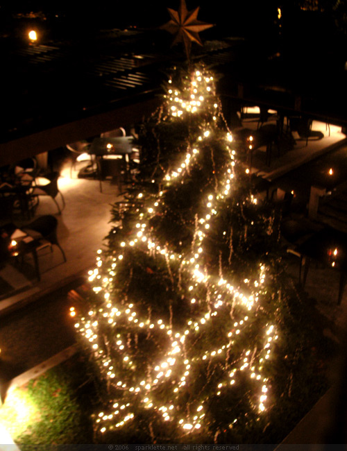 Christmas tree at graze