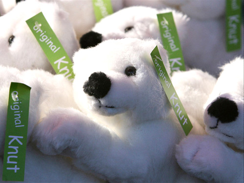 Knut the polar bear cub stuffed toys