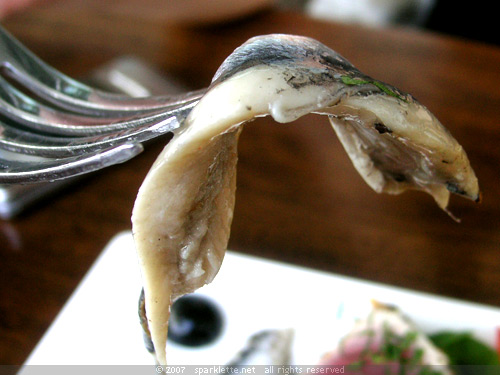 White Anchovies