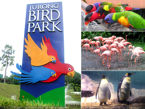 Singapore Jurong Bird Park