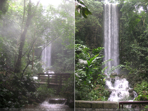 Waterfall Aviary: World's tallest man-made waterfall