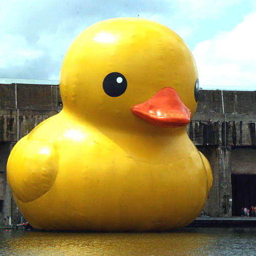 Ontario Giant Rubber Duck Is Counterfeit, Says Artist Who Created