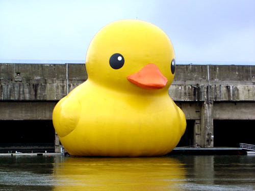 Splash! Giant Rubber Ducky!