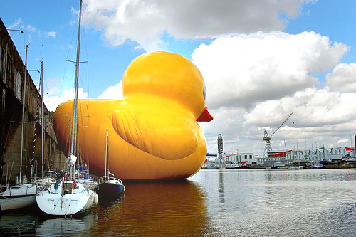 Splash! Giant Rubber Ducky!