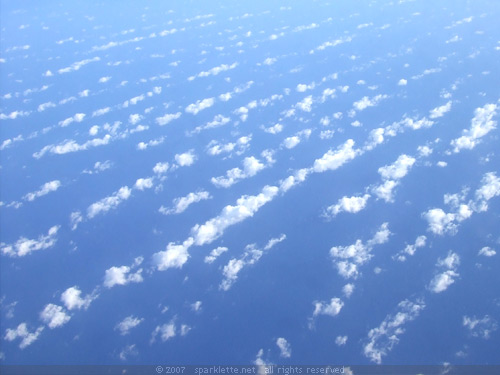 Cirrus clouds, view from plane