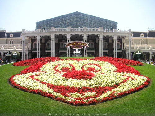 Flowers in the shape of Mickey Mouse, Disneyland
