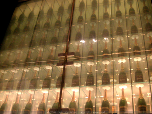 Wine bottles encased in glass