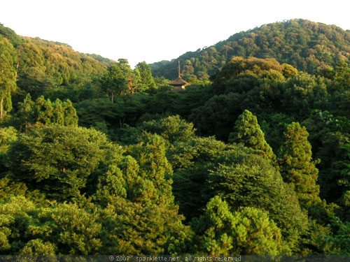 Pagoda peeking through the tree canopy