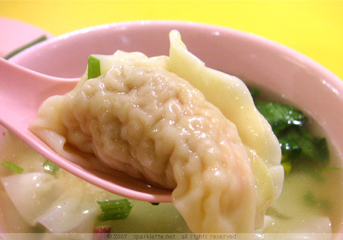 Dumpling soup