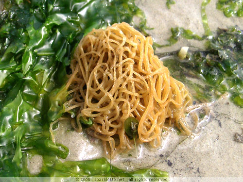Where in the World is This "Fried Bee Hoon"?
