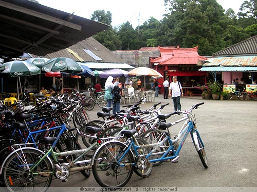 Bicycle rental shops at Pulau Ubin