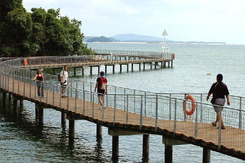 Boardwalk at Chek Jawa