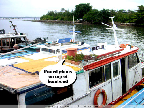 Bumboat with potted plants on its rooftop