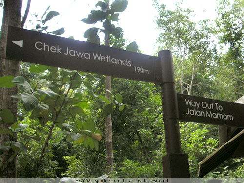 Chek Jawa