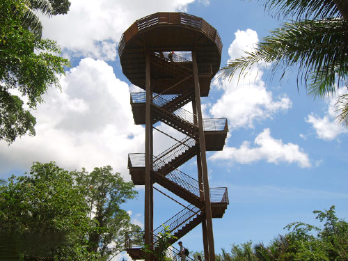 Jejawi Tower at Chek Jawa