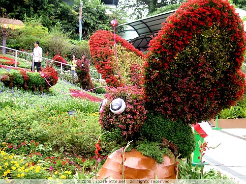 Floral display in the shape of a butterfly