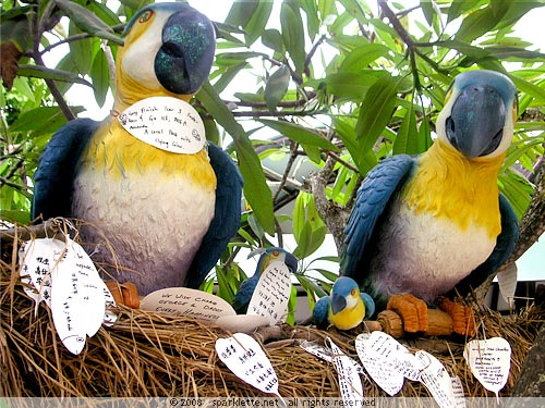 Clay parrots with messages perched on tree