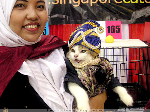 Kitty dressed like Aladdin