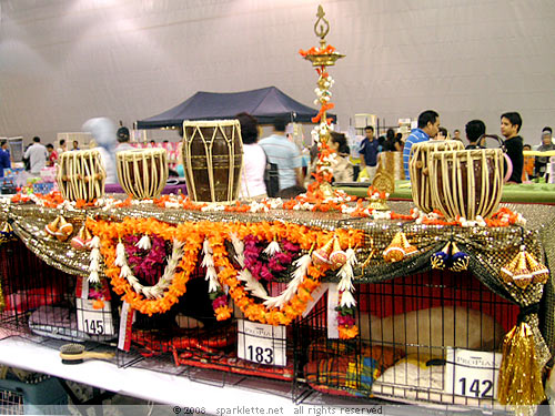 Bollywood-themed cat cage
