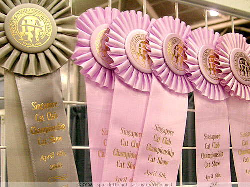 Championship Cat Show ribbons