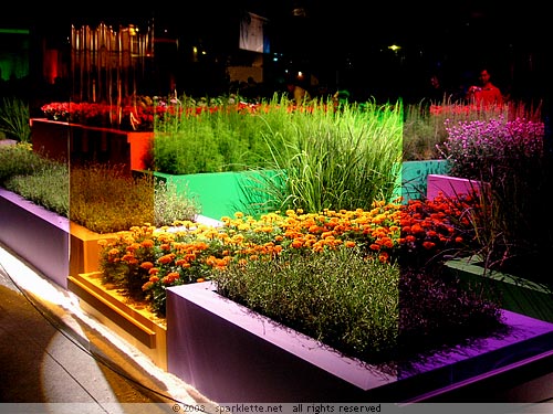 Colourful flowerbeds