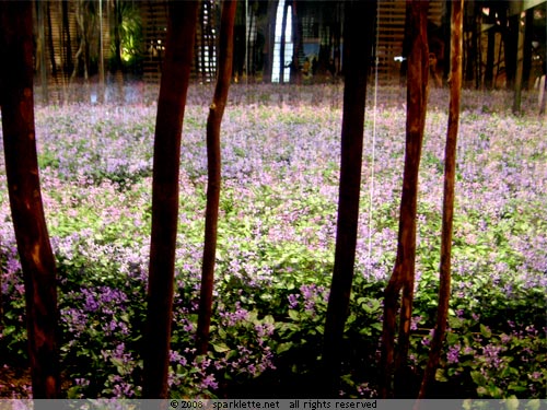 Indoor meadow of purple flowers