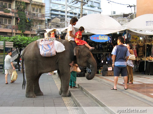 Elephant ride in Bangkok