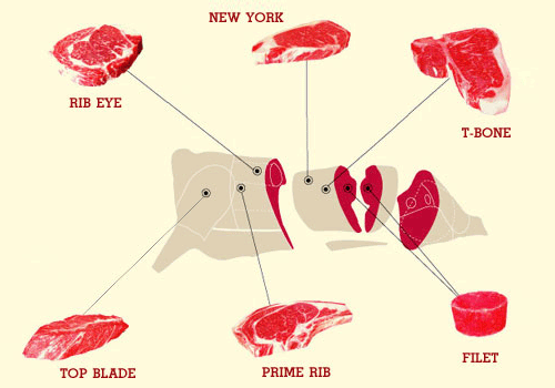 Various types of steak