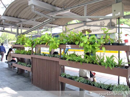 Green bus stop in Bangkok