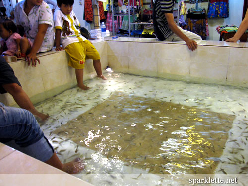 Fish spa