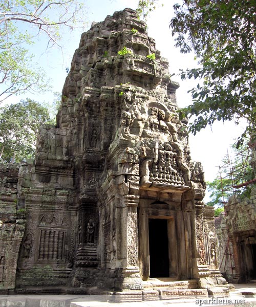 Ta Prohm, Cambodia